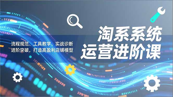 淘系系统运营进阶课2.0，流程规范、工具教学、实战诊断，进阶突破，打造高盈利店铺模型-紫薇云网创合伙人