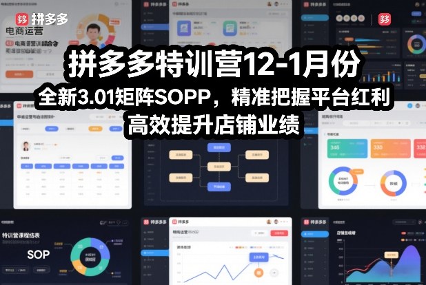 拼多多特训营12-1月份，全新3.01矩阵Sop，精准把握平台红利，高效提升店铺业绩-紫薇云网创合伙人