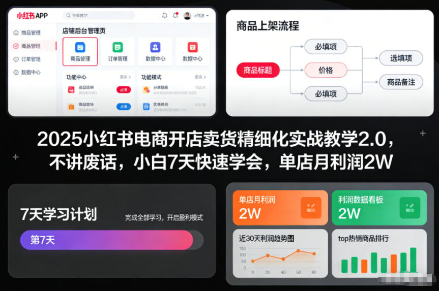 2025小红书电商开店卖货精细化实战教学2.0，不讲废话，小白7天快速学会，单店月利润2W-紫薇云网创合伙人
