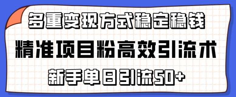 精准项目粉高效引流术,新手单日引流50+,多重变现方式稳定赚钱-紫薇云网创合伙人