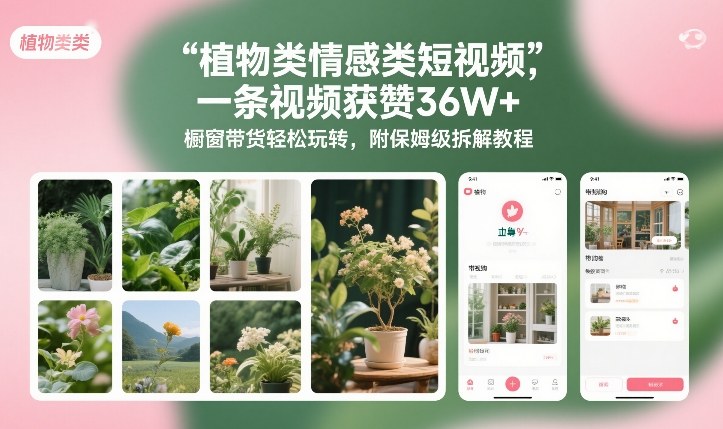 植物类情感类短视频，一条视频获赞36W+，橱窗带货轻松玩转，附保姆级拆解教程-紫薇云网创合伙人