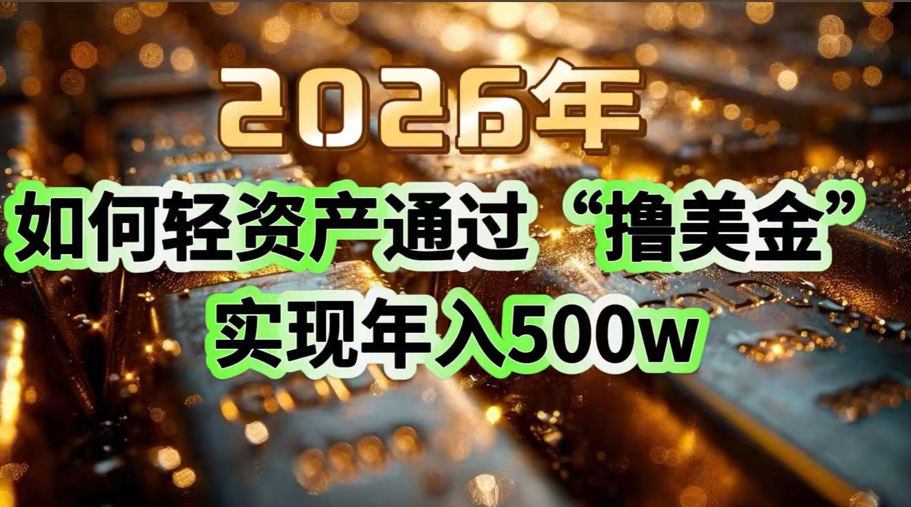2026年如何轻资产通过“撸美金”实现年入500w-紫薇云网创合伙人