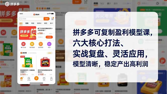 拼多多可复制盈利模型课，六大核心打法、实战复盘、灵活应用，模型清晰，稳定产出高利润-紫薇云网创合伙人