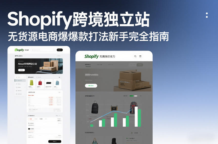 Shopify跨境独立站无货源电商爆款打法新手完全指南-紫薇云网创合伙人