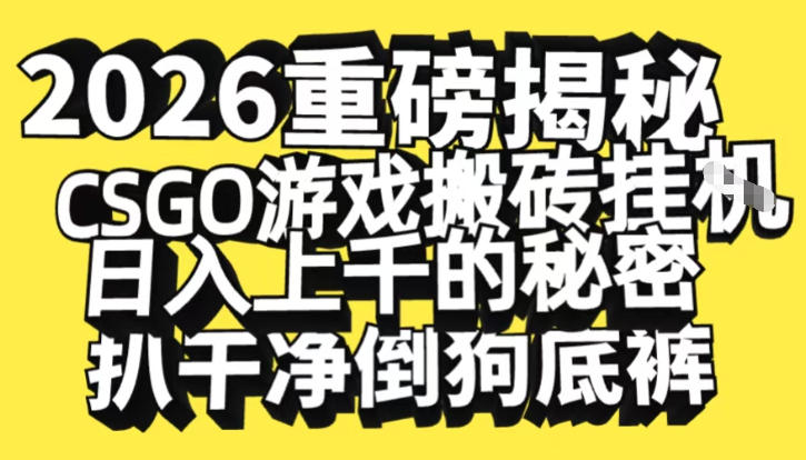 2026开年重磅解密，CSGO游戏搬砖挂G日入1k+的秘密，把倒狗的底裤扒干【揭秘】-紫薇云网创合伙人