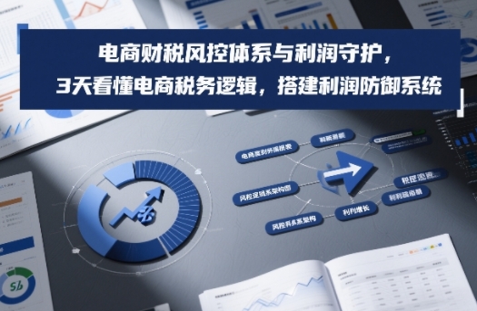 电商财税风控体系与利润守护，3天看懂电商税务逻辑，搭建利润防御系统-紫薇云网创合伙人