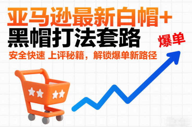 亚马逊最新白帽+黑帽打法套路,安全快速上评秘籍,解锁爆单新路径-紫薇云网创合伙人