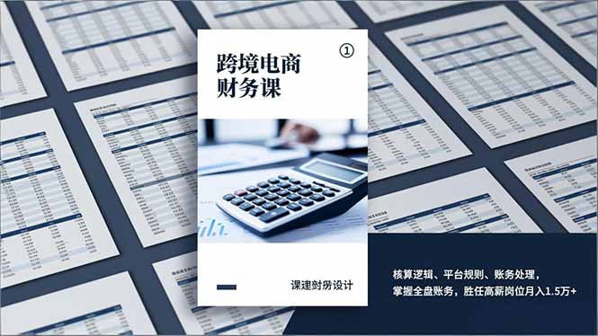 跨境电商财务课，核算逻辑、平台规则、账务处理，掌握全盘账务，胜任高薪岗位月入1.5万+-紫薇云网创合伙人