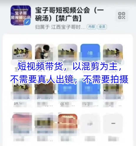 宝子哥头部团队短视频带货，以混剪为主，不需要真人出镜，不需要拍摄【更新12月】-紫薇云网创合伙人