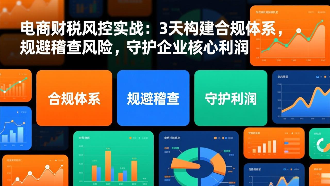 电商财税风控实战：3天构建合规体系，规避稽查风险，守护企业核心利润-紫薇云网创合伙人