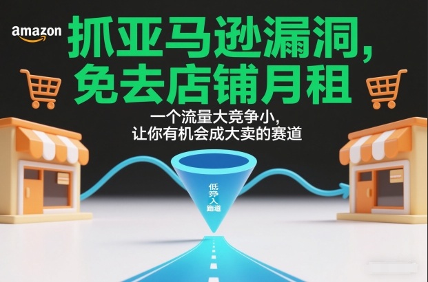 抓亚马逊漏洞，免去店铺月租，一个流量大竞争小，让你有机会成大卖的赛道-紫薇云网创合伙人