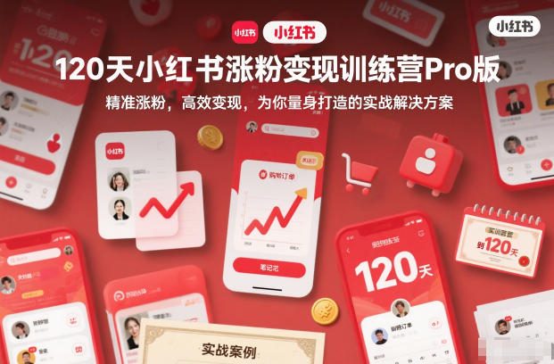 120天小红书涨粉变现训练营Pro版，精准涨粉，高效变现，为你量身打造的实战解决方案-紫薇云网创合伙人
